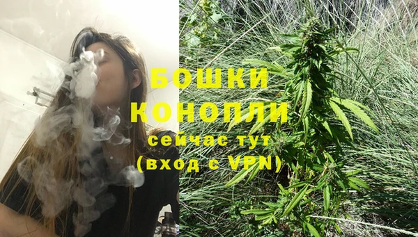 экстази Богданович
