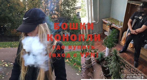 метадон Богородицк