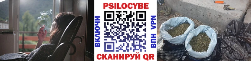 где купить   Дубна  Галлюциногенные грибы GOLDEN TEACHER 