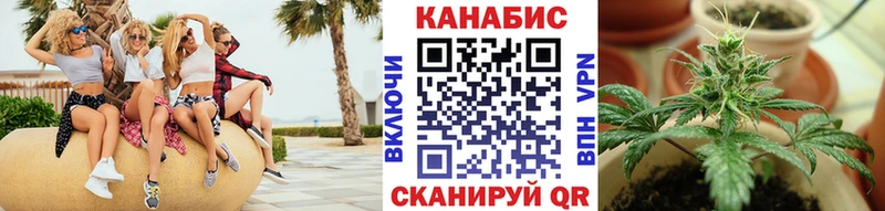 где купить наркоту  Дубна  Канабис индика 